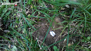 МДКЕШИНГ. Жетон в Калуге!