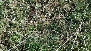 МДКЕШИНГ в Астрахани - Летний сезон 2017