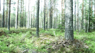 МДКЕШИНГ в Петрозаводске - Летний сезон 2017