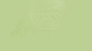 МДКЕШИНГ в Петрозаводске - Летний сезон 2017