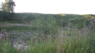 МДКЕШИНГ в Туле - Летний сезон 2017