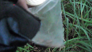 МДКЕШИНГ в Туле - Летний сезон 2017