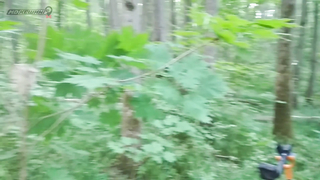 Поиск жетона в Туле! - Лето 2017