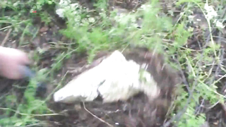 МДКЕШИНГ в Казани - Летний сезон 2017