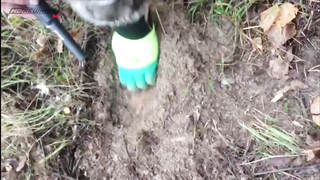 Поиск жетона в Казани! - Летний сезон 2017