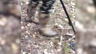 Поиск жетона в Казани! - Летний сезон 2017