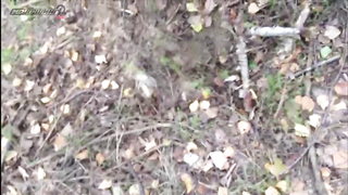 Поиск жетона в Казани! - Летний сезон 2017