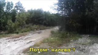 Поиск жетона в Сургуте! - Летний сезон 2017