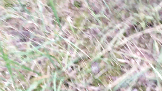 Поиск жетона в Чебоксарах! - Летний сезон 2017