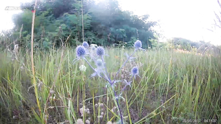 МДКЕШИНГ в Воронеже - Летний сезон 2017