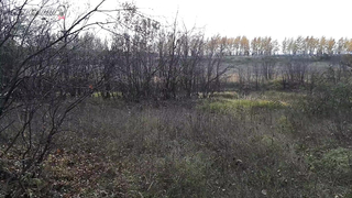 Поиск жетона в Воронеже! - Летний сезон 2017