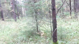 МДКЕШИНГ в Нижнем Тагиле - Осень 2017