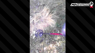 Поиск жетона в Нижнем Тагиле! - Осенний сезон 2017