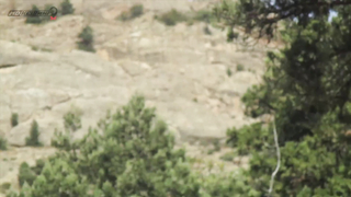 МДКЕШИНГ в Севастополе - Осень 2017