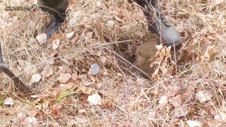 МДКЕШИНГ в Братске - Осень 2017