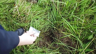 МДКЕШИНГ в Великом Новгороде - Осень 2017