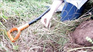 Поиск жетона в Великом Новгороде - Осенний сезон 2017