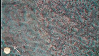 МДКЕШИНГ в Чите - Осень 2017