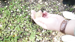 МДКЕШИНГ в Санкт-Петербурге #5 жетон - Осень 2017