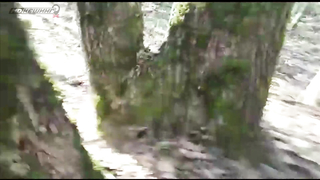 Поиск жетона в Краснодаре! - Осенний сезон 2017