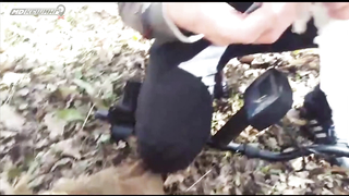 Поиск жетона в Краснодаре! - Осенний сезон 2017