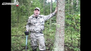 МДКЕШИНГ в Вологде. Жетон найден!