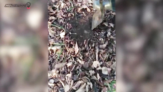 Поиск жетона во Владивостоке! - Осенний сезон 2017