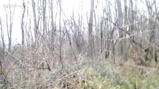 МДКЕШИНГ в Ставрополе - Зима 2018