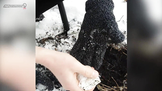 Поиск жетона в Ставрополе! - Зима 2018