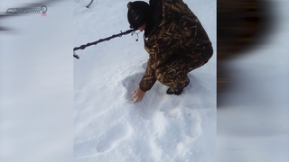 Поиск жетона в Тамбове! - Зима 2018