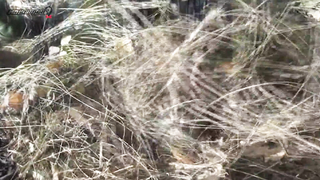 МДКЕШИНГ в Тольятти - Весна 2018