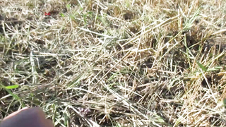 МДКЕШИНГ в Таганроге - Лето 2018