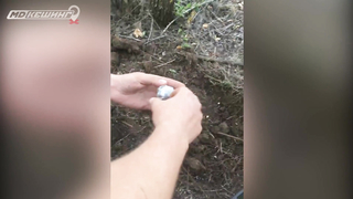 Поиск жетона в Волгограде - Летний сезон 2018