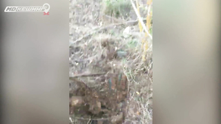 Поиск жетона в Волгограде - Летний сезон 2018