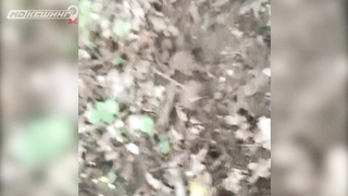 Поиск жетона в Калининграде - Летний сезон 2018