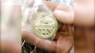 Поиск жетона в Калининграде - Летний сезон 2018