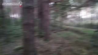 Поиск жетона в Ярославле - Летний сезон 2018