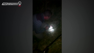 Поиск жетона в Воронеж - Летний сезон 2018