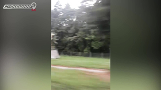 МДКЕШИНГ г. Владикавказ - Лето 2018