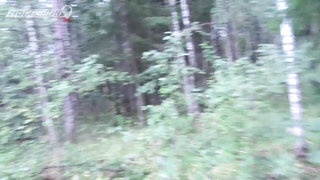 МДКЕШИНГ г. Санкт-Петербург #6 жетон - Лето 2018