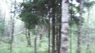 МДКЕШИНГ г. Санкт-Петербург #6 жетон - Лето 2018