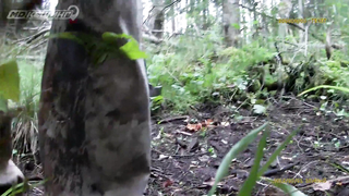 Поиск жетона в Санкт-Петербурге - Летний сезон 2018