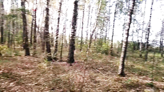 Поиск жетона в г. Тверь - Летний сезон 2018