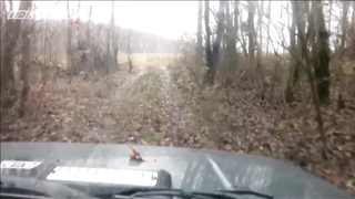 Поиск жетона в г. Смоленск - Осень 2018