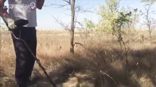 Поиск жетона в г. Саратов - Осень 2018