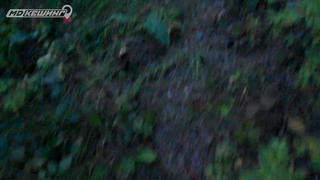 МДКЕШИНГ г. Красноярск - Осень 2018