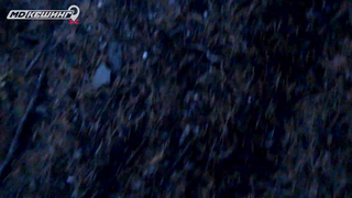 МДКЕШИНГ г. Красноярск - Осень 2018