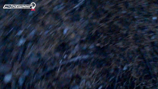 МДКЕШИНГ г. Красноярск - Осень 2018