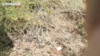 МДКЕШИНГ в Волгограде. Жетон найден!