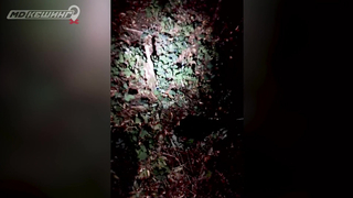 Поиск жетона в г. Белгород - Осенний сезон 2018